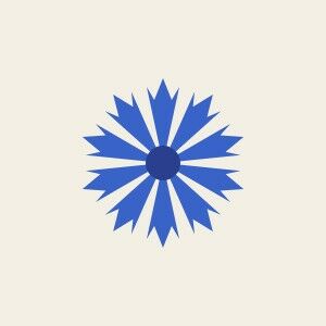 Cornflower