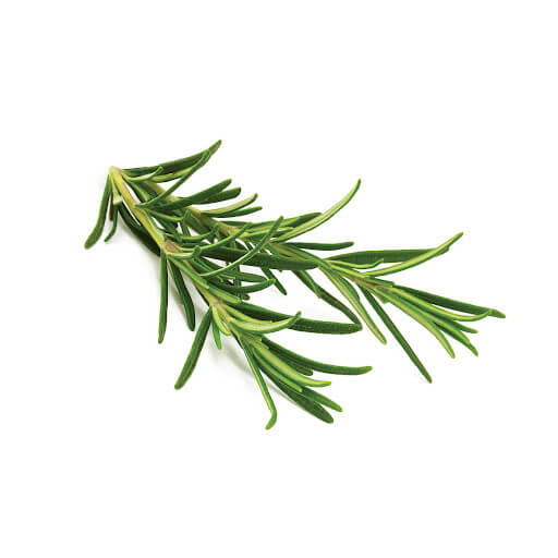 Rosemary