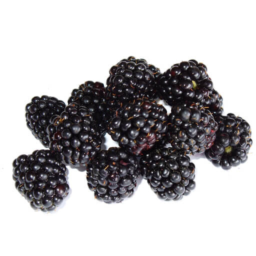 Blackberry