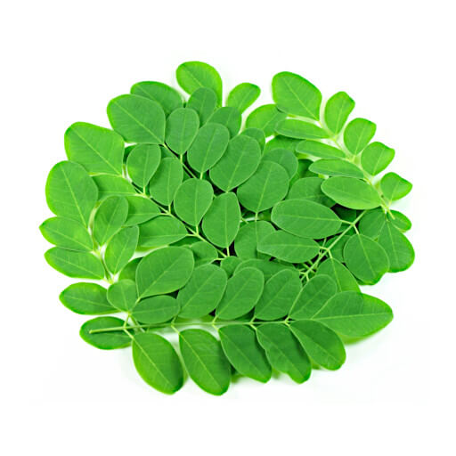 Moringa