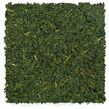 Chiran Sencha