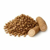 Burdock