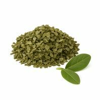 Guayusa