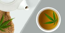 Hemp Tea