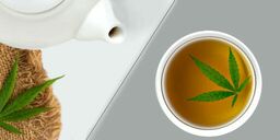 Hemp Tea