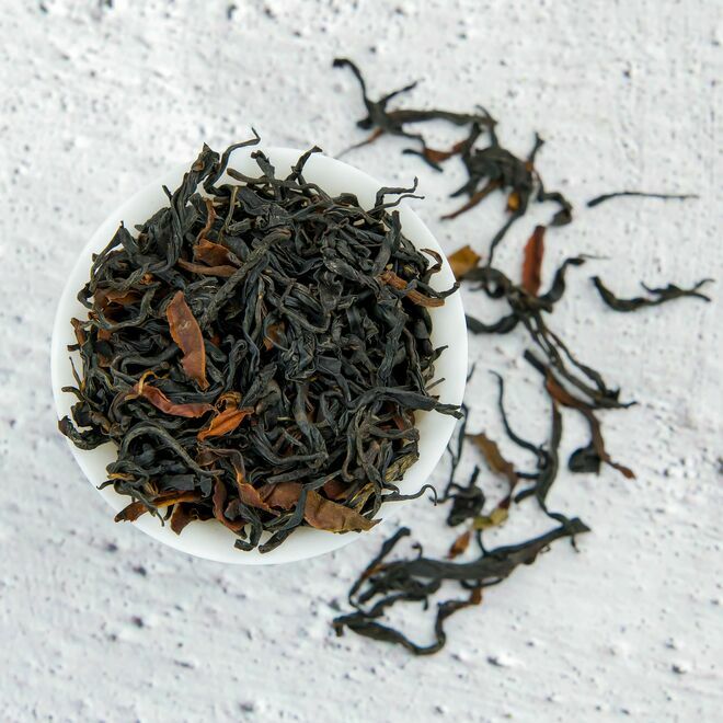 Wild Ancient Tree Black