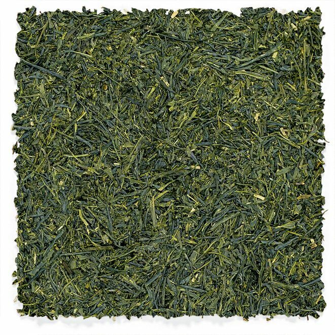Yame Sencha | Fukuoka Reserve
